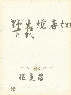 野火烧春txt下载