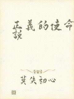 正义的使命 小说