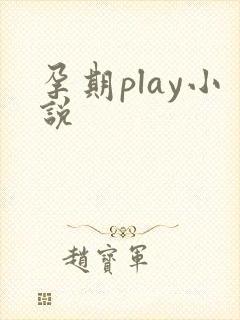 孕期play小说