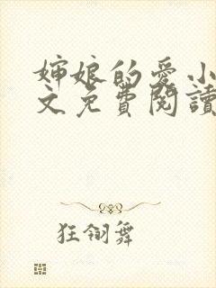 婶娘的爱小说全文免费阅读