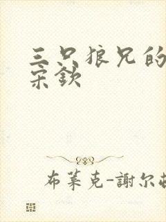 三只狼兄的宠妻宋钦