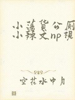 小荡货公厕h文小辣文np视频