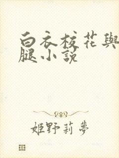 白衣校花与大长腿小说