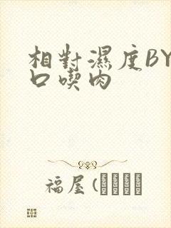 相对湿度BY大口吃肉