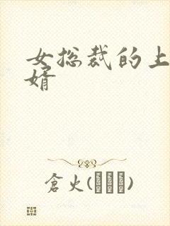 女总裁的上门女婿