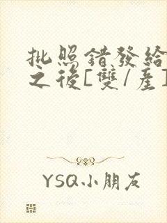 批照错发给情敌之后[双/产]