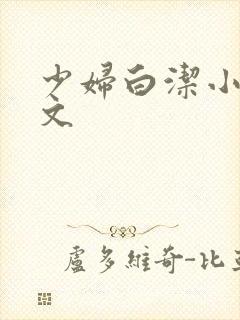 少妇白洁小说全文