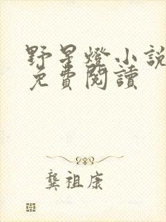 野星灯小说全文免费阅读