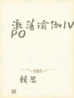 激荡瑜伽1V2PO