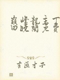 巅峰龙主丁长顺田晓兰免费阅读