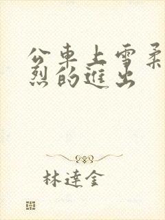 公车上雪柔被猛烈的进出