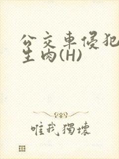 公交车侵犯小男生肉(H)