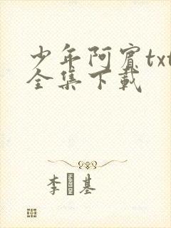 少年阿宾txt全集下载