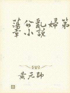 荡公乱妇第51章小说