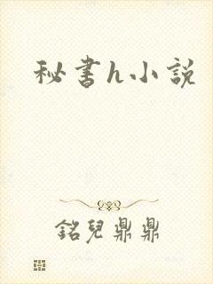秘书h小说