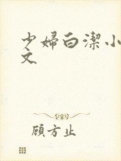 少妇白洁小说全文