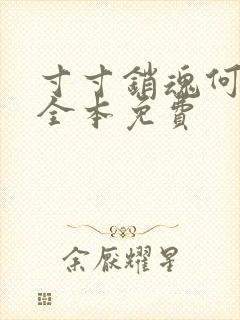 寸寸销魂何生祥全本免费