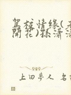 驾校情缘(老树开花)孙潇潇笔趣阁