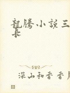 龙腾小说三宝局长