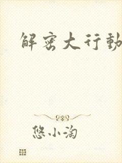 解密大行动