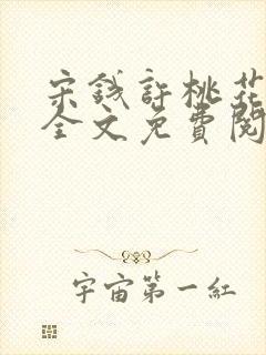 宋钱许桃花小说全文免费阅读