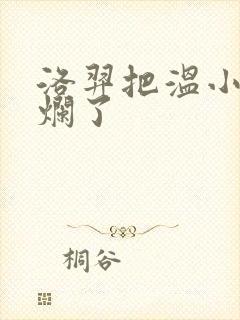 洛羿把温小辉做烂了