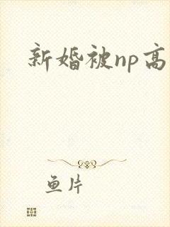 新婚被np高h