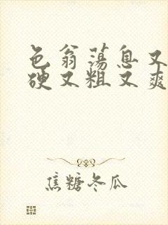 色翁荡息又大又硬又粗又爽