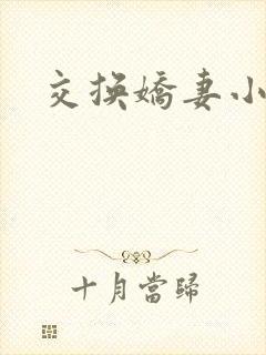 交换娇妻小说
