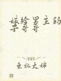 嫁给男主的病秧子哥哥