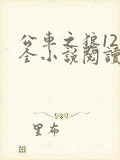 公车之狼12集全小说阅读