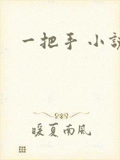 一把手 小说