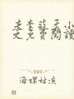 老李苏柔小说全文免费阅读