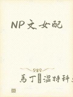 NP文女配