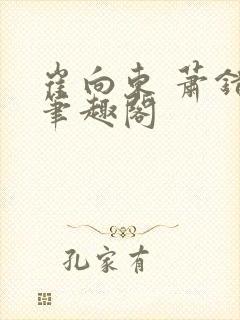 崔向东 萧错 笔趣阁