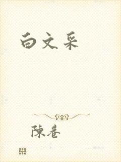 白文采