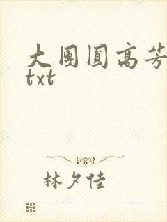 大团圆高芳小说txt