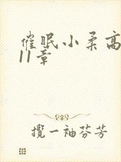 催眠小柔高达第11章