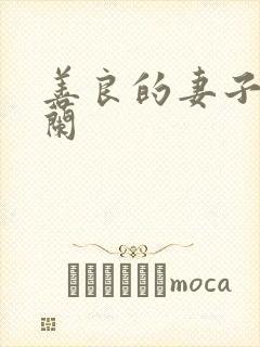 善良的妻子王晓兰