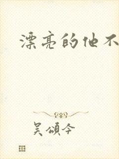 漂亮的他不说话