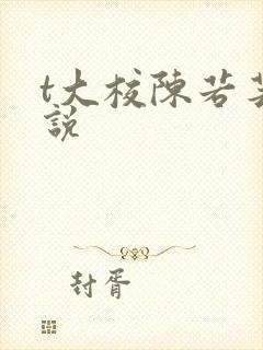 t大校陈若芸小说