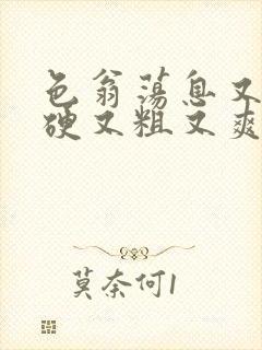 色翁荡息又大又硬又粗又爽小莹