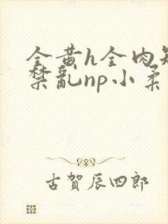 全黄h全肉短篇禁乱np小柔