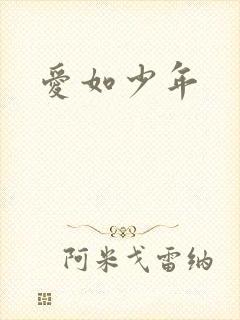 爱如少年