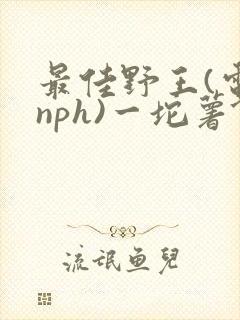 最佳野王(电竞nph)一坨薯饼