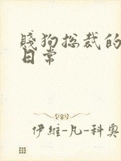 贱狗总裁的私教日常