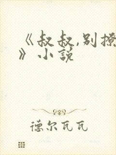 《叔叔,别撩我》小说