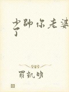 少帅你老婆又跑了