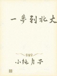 一梦到北大