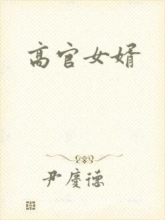 高官女婿